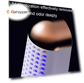 Portable Shoe Dryer with UV Light for Bacteria Deodorizing — Shoe Dryers, IntelliDry