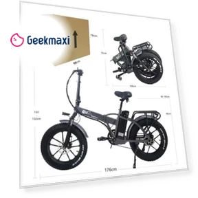 Electric Bike with Front Basket — Electric Self-Balancing Scooters, CMACEWHEEL