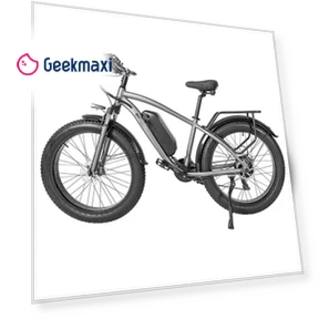 Electric Bike — Electric Self-Balancing Scooters, CMACEWHEEL
