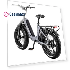 Electric Bike — Electric Self-Balancing Scooters, Fafrees