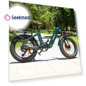 Master Electric Bike — Electric Self-Balancing Scooters, Fafrees