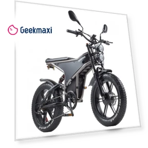 Electric Bike — Electric Vehicles, RANDRIDE