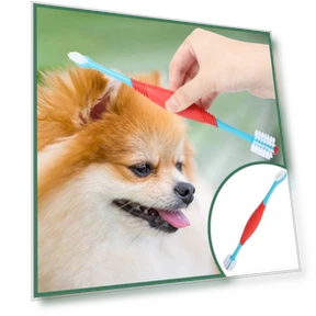 Dual Head Toothbrush for Pets — Toothbrushes