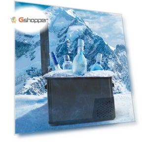 Universal Car Refrigerator with Compressor Cooling — Coolers & Fridges
