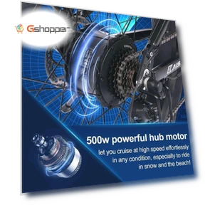 Electric Moped — Electric Vehicles