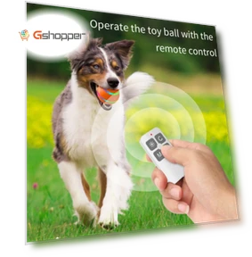 Intelligent pet toy ball — Interactive Animal Companions