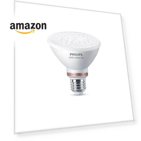 Smart Wi-Fi LED Color Changing Light Bulb — LED, Philips