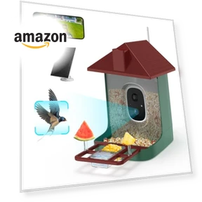 Smart Bird Feeder with Camera — Backyard Birding, Mstulp