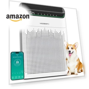 Air Purifier for Large Room — Activated Carbon Air Purifiers, MORENTO