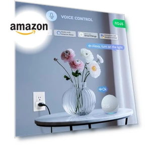 Wi-Fi Smart Plug — Smart Home Modules, NOUS