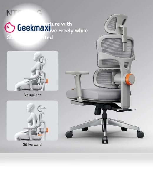 Ergonomic Chair with Adjustable Backrest, Armrest, Headrest, and Footrest - Grey — Desk Chairs, NEWTRAL