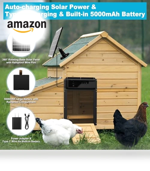 Automatic Chicken Coop Door — Electronic Doors