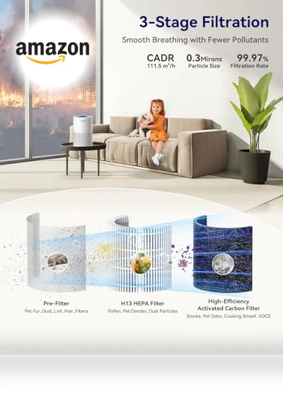 H13 True HEPA Air Filter Portable Air Purifier — Activated Carbon Air Purifiers, Tailulu
