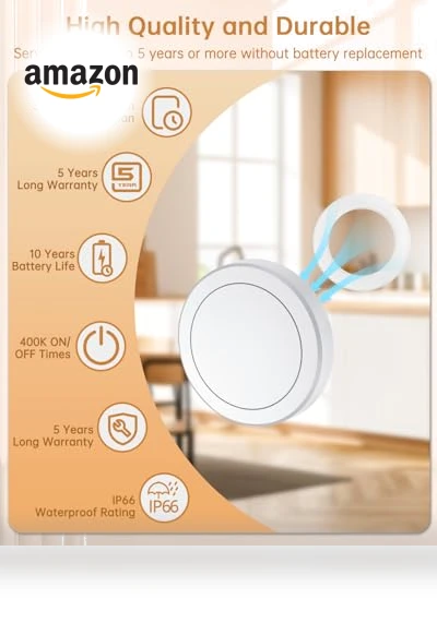 Remote Control Outlet Switch Kit — Remote Controls, STRIPOO