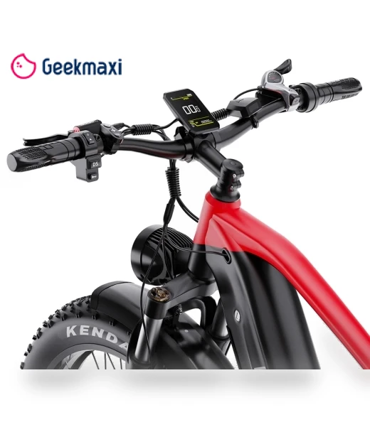 26*4.0 Inch Fat Tire Electric Bike — Electric Self-Balancing Scooters, DUOTTS