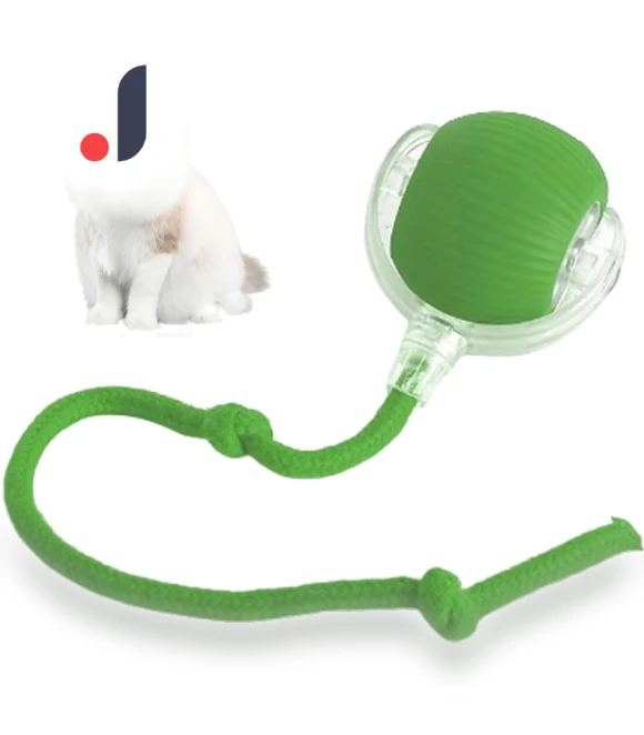 Interactive Lettuce Rolling Ball Toy — Interactive Animal Companions, Chicago Rose