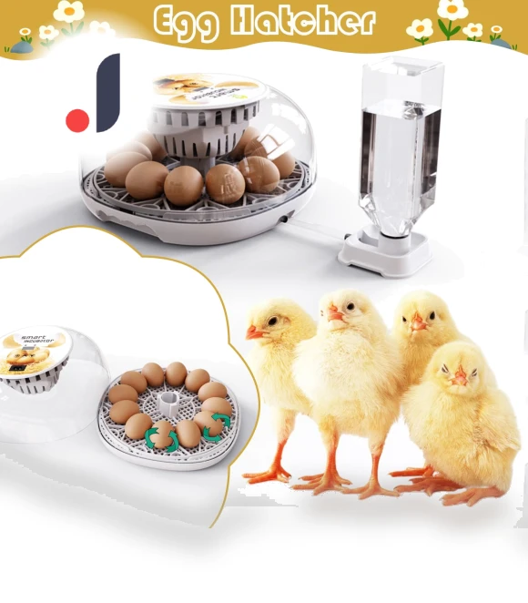 Automatic Egg Incubator with 360° Transparent Window — Egg Cookers, Challenge
