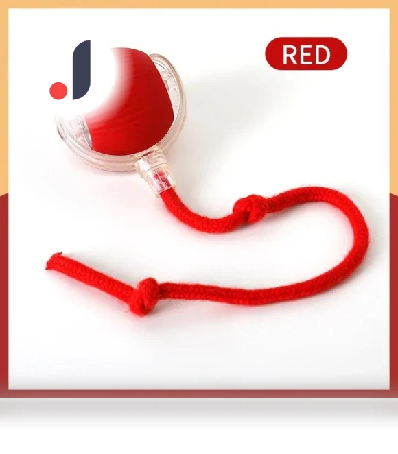 Interactive Pet Toy Ball — Cat Playthings, Diana Pet Stuff