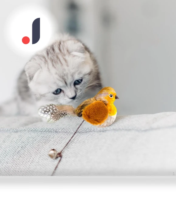 Squeaky Bird Cat Toy — Cat Playthings, Love DIY