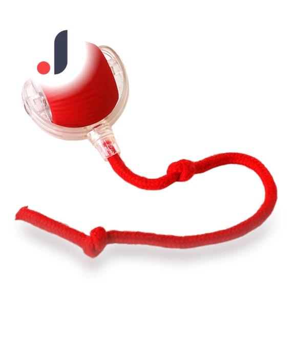 Automatic Rolling Ball Pet Toy — Balls, HOME-Auto-001