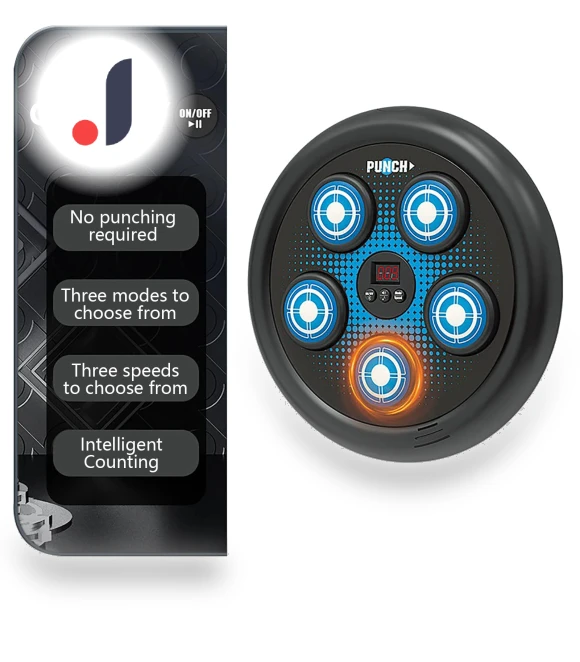 Smart Electronic Boxing Trainer — Boxing Training Gear, Hong Hollyland