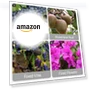 Thumbnail Reusable Plastic Plant Clips for Climbing Plants — Clamps, FKMEE