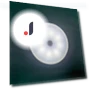 Motion Sensor LED Light — Night Lights, Home Whispers