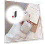 Shell Pattern Case — Basic Cases, Smarter than future