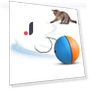 Electric Cat Toy Ball — Cat Playthings, Challenge