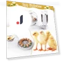 Automatic Egg Incubator with 360° Transparent Window — Egg Cookers, Challenge