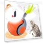 Interactive Cat Ball — Cat Playthings, QIIAII D