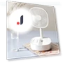 Portable Telescopic Folding Fan — Portable Cooling Solutions, VantaGoods