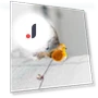 Squeaky Bird Cat Toy — Cat Playthings, Love DIY