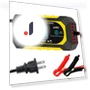 Fully Automatic Smart Pulse Repair Battery Charger — Chargers, HOME-Auto-001