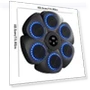 Smart Counting Boxing Trainer — Boxing Training Gear, JOHO - CarGear