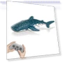 Remote Control Shark Kit Spray Water Toy — Beach Toys, Specials
