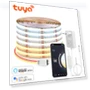 Smart Wi-Fi LED Strip Light — LED Strips, Rybakov Home Lighting