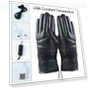 USB Smart Heating Plush Gloves — Gloves, Auto Accessories Home