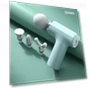 Portable Fascial Massage Gun — Back Relief Solutions, Home Of Auto Parts