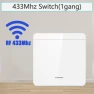 WiFi Smart Switch — Smart Home Modules, Lntelligent Living Hall