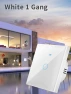 Smart Switch — Smart Home Modules, Lntelligent Living Hall