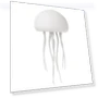 Night Light 'Jellyfish' with Voice Control — Creative Lighting Solutions, Smarter than future