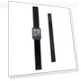 Smartwatch — Smartwatches, Cyprinoid