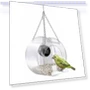 Smart Bird House Feeder with Camera — Backyard Birding, Pig Boutique