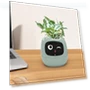 Smart Flower Pot — Garden Planters, HappyToy