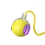 Rechargeable Automatic Rolling Ball Toy — Interactive Animal Companions, Boyuan