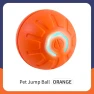 Automatic Rolling Ball — Cat Playthings, YJMP