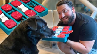Interactive Dog Puzzle Game Review
