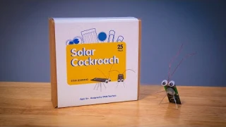 DIY Solar Cockroach Kit