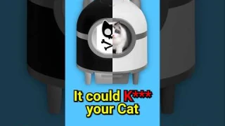 A Dangerous Cat Litter Box